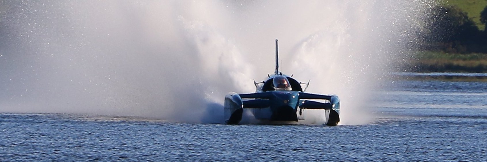 The Bluebird Project's banner