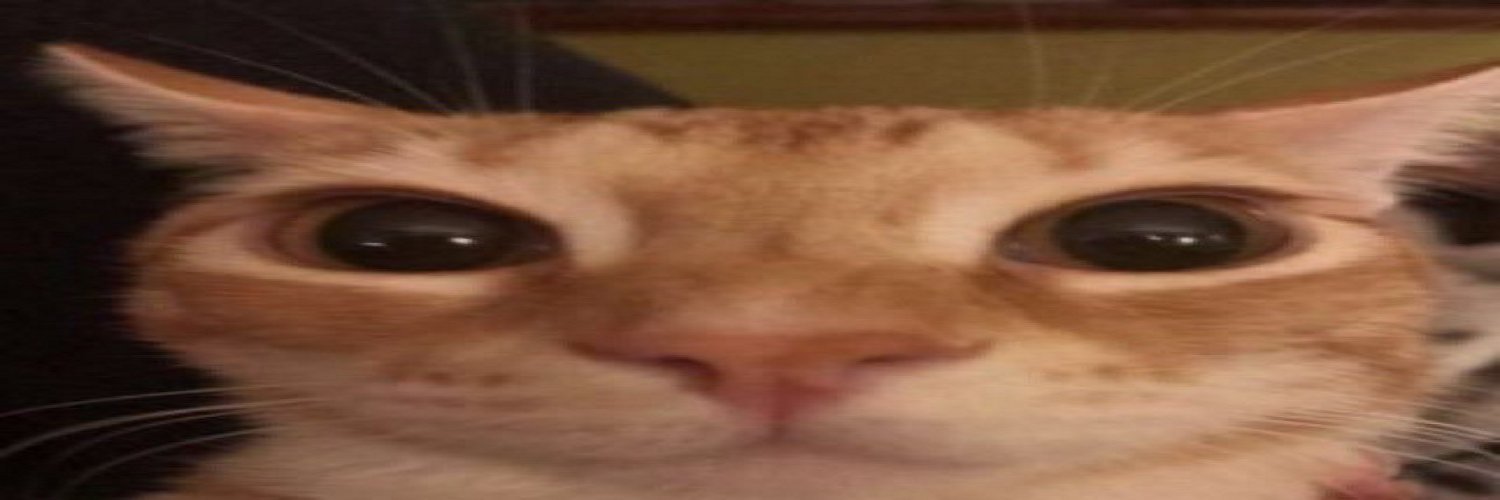 Nabix 🐱's banner