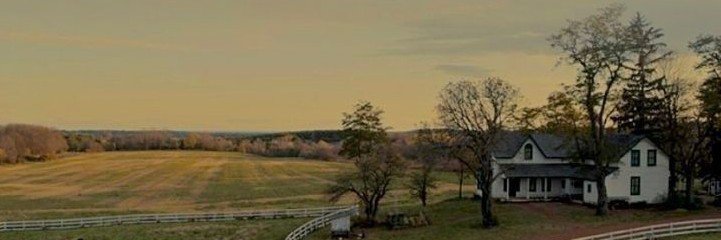 s.'s banner