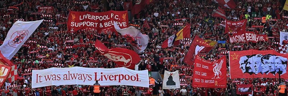 Cat's banner