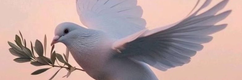 ᥫ᭡511نوره's banner