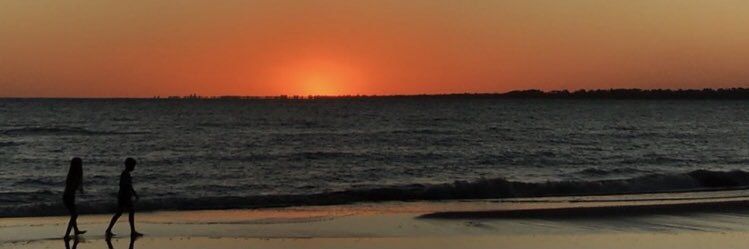 Flor ☽'s banner