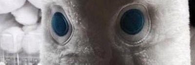 meow준's banner