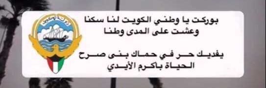 دانية سالم's banner