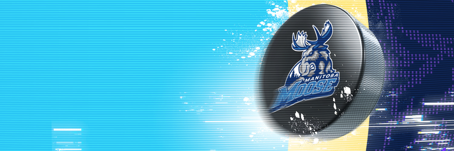Manitoba Moose's banner