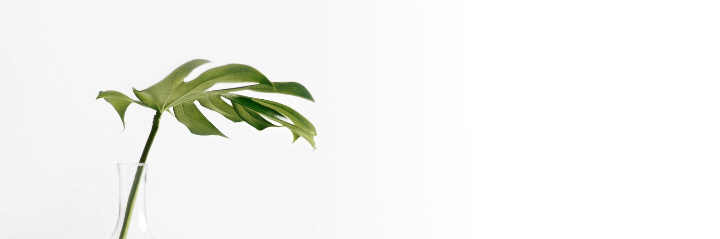 Michael Yagudaev 🧑🏻‍💻🇨🇦's banner