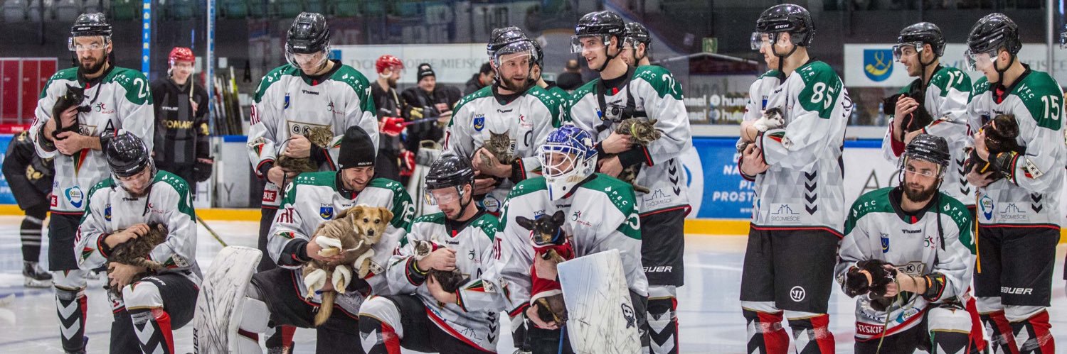 Polish Puck's banner