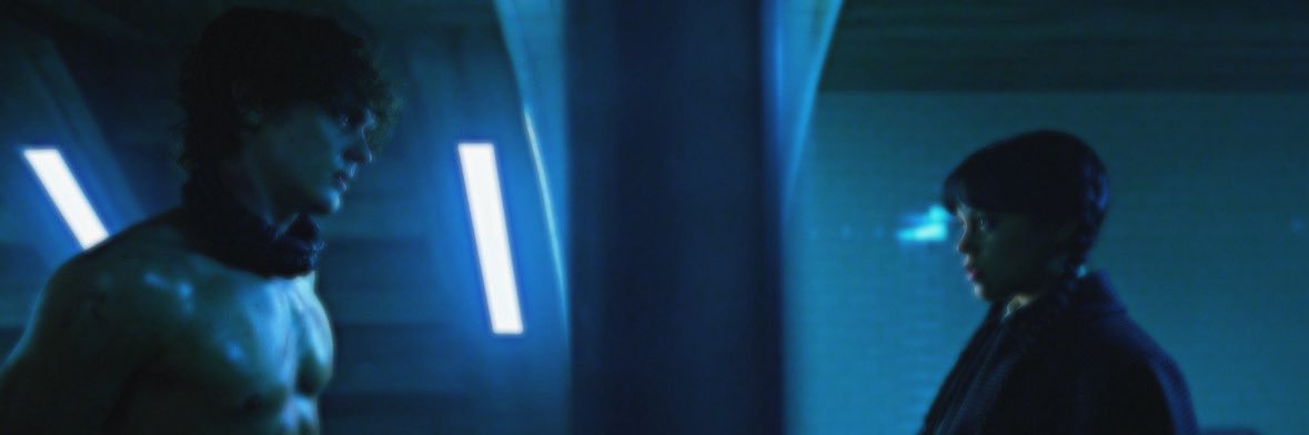 d🪸's banner