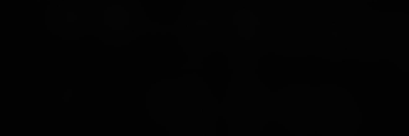 III's banner
