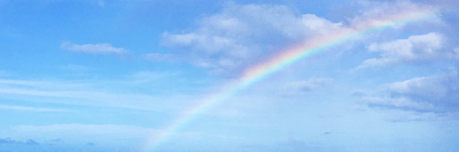 稲富菜穂's banner