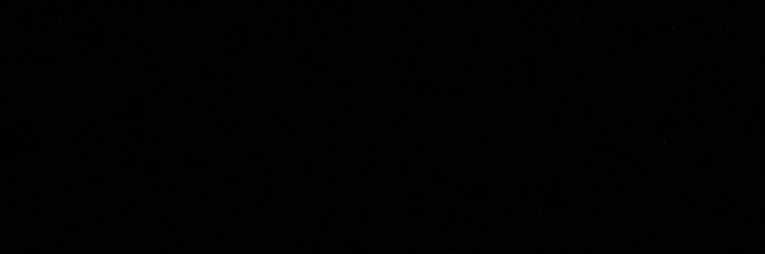 shannon's banner
