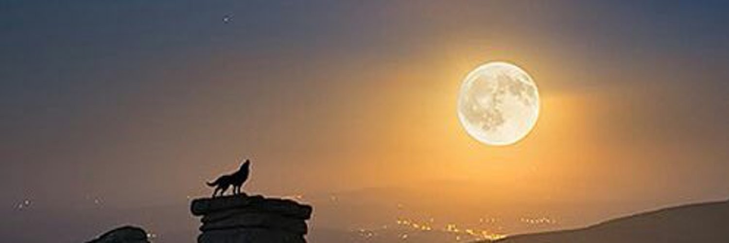 اسحاق's banner