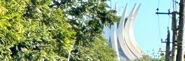 Stephanie Al-Qaq's banner