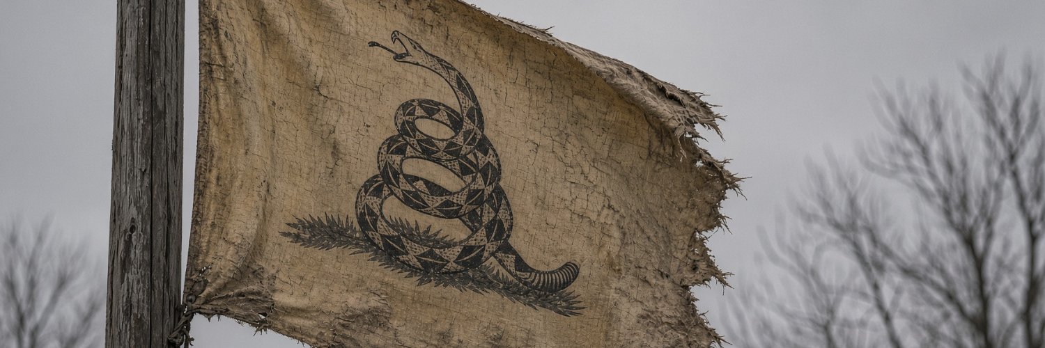 No Face Patriot's banner