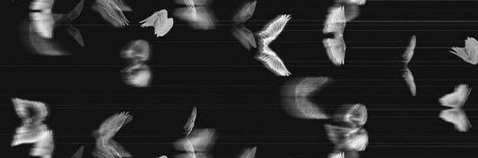 𝘔𝘌𝘌𝘑 ʚଓ's banner