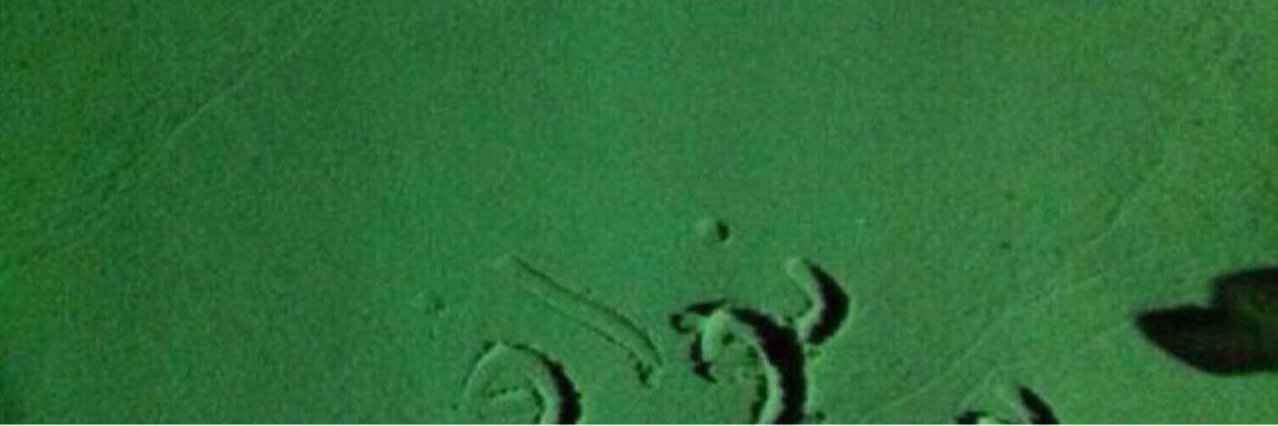 "‏معالي المواطن '' i"🇰🇼's banner