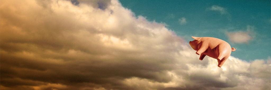 Daniel 's banner