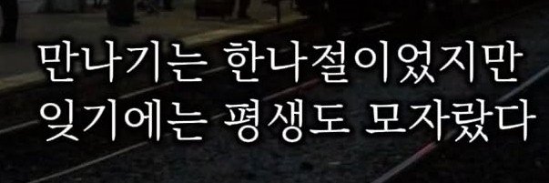 🪽까💡🌹(구)건강_행복's banner