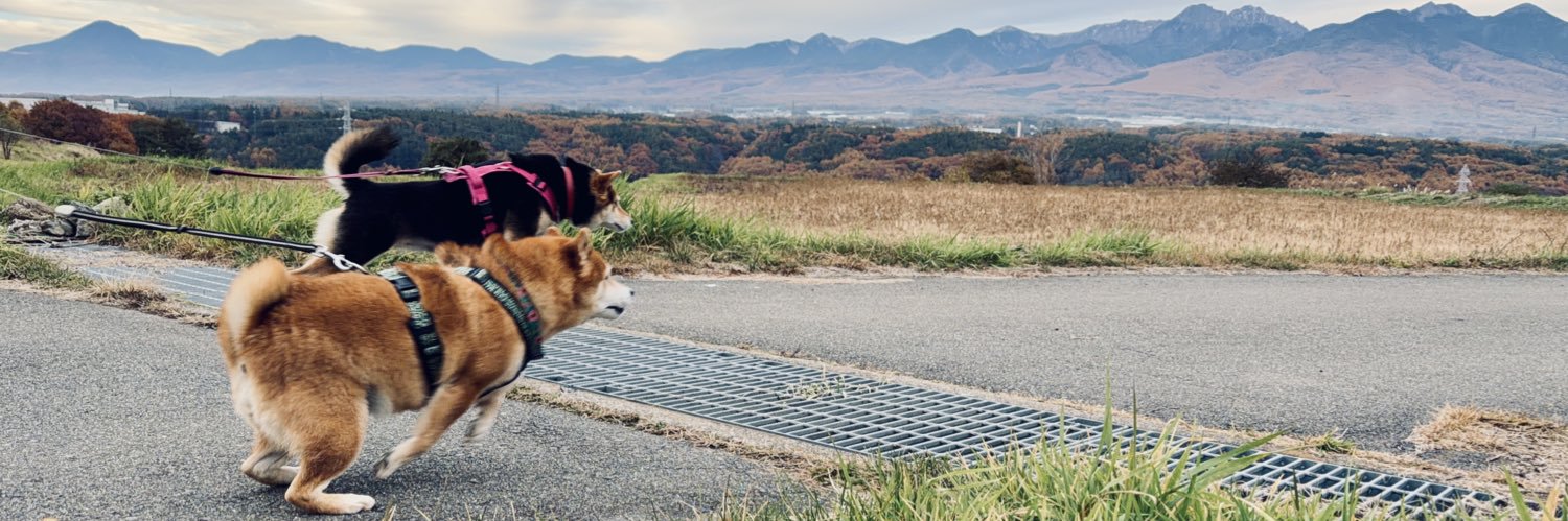 柴犬たけちよ's banner