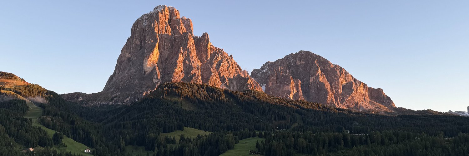 Dominik Schiener's banner
