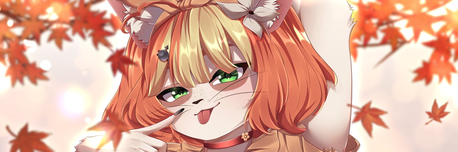 cat moid's banner