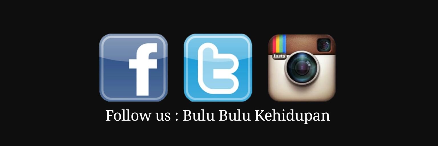 Bulu Bulu Kehidupan 🇲🇾's banner