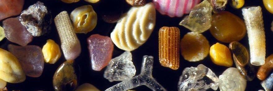 microscopic images.'s banner