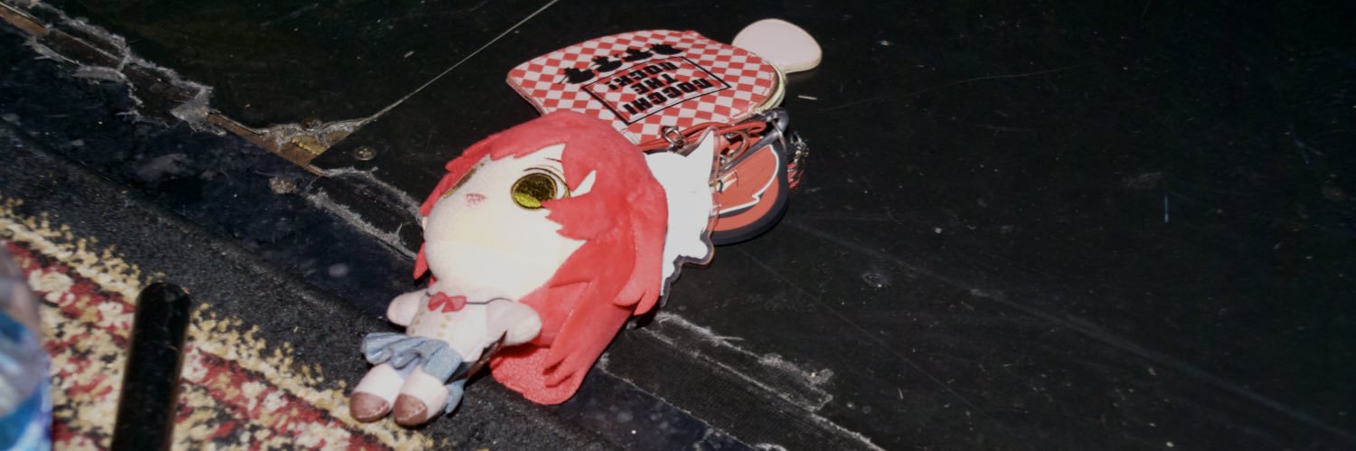NICOR in Punishment's banner