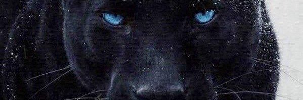 WurlD's banner