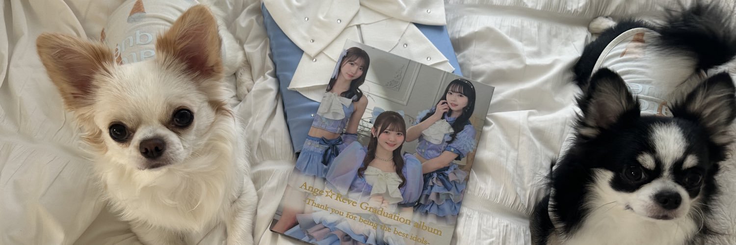 安藤笑🦭🍻's banner