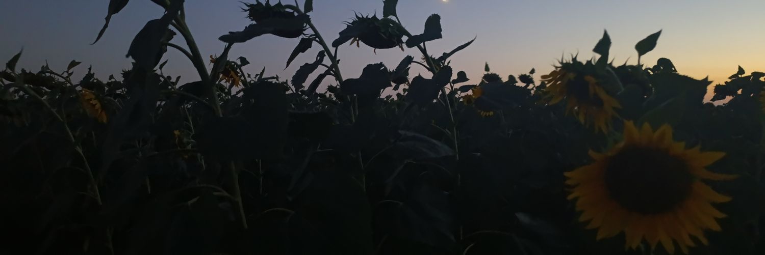 laugh&pain 🗿's banner