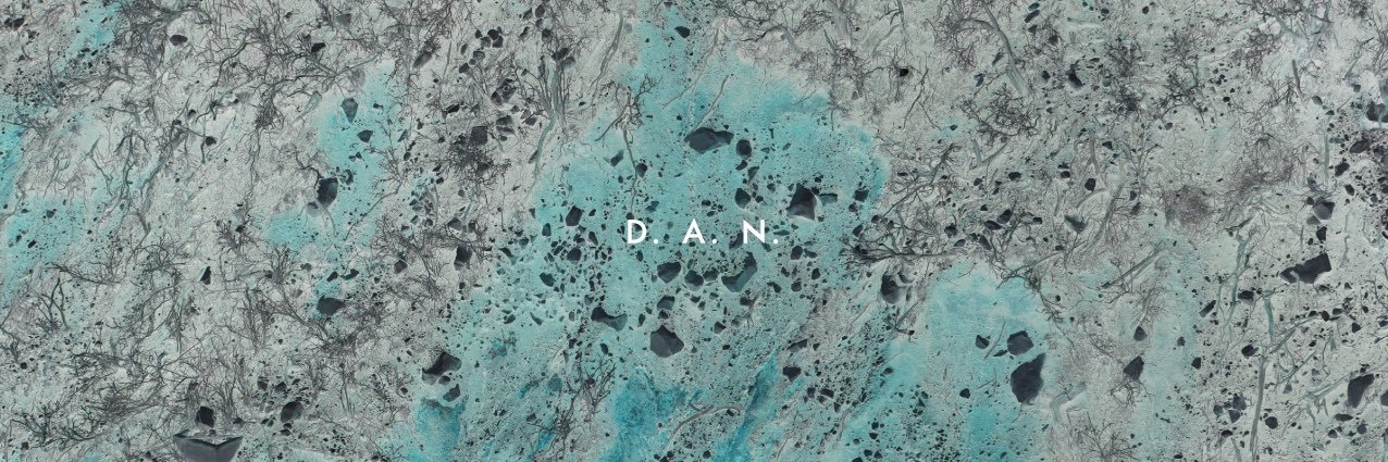 D.A.N.'s banner