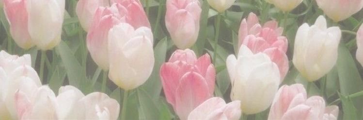 april ⏾'s banner
