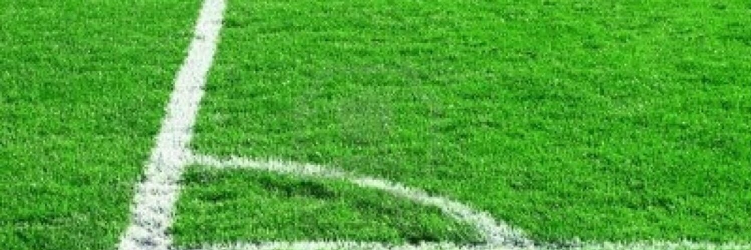 Sandra Gálvez Pardo's banner