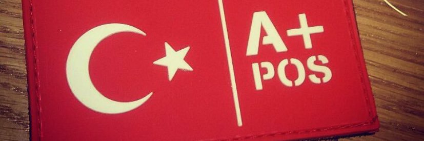 Türkçü ‎ 𐰀𐰢's banner