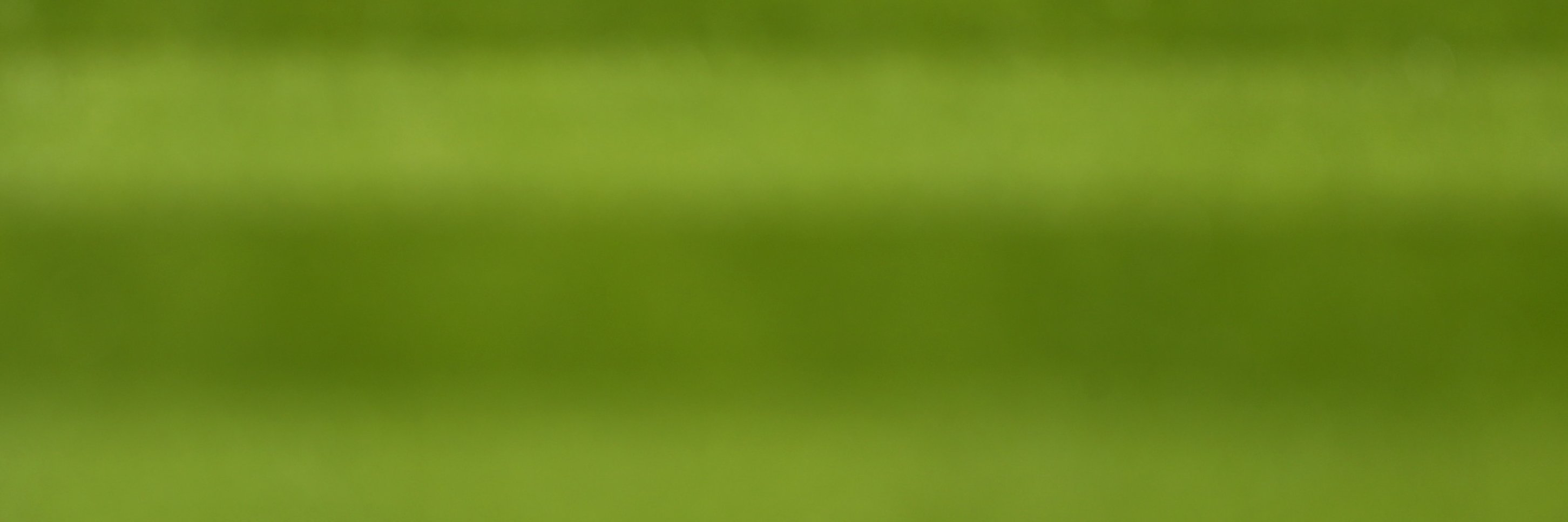 BBC Cambs Sport's banner