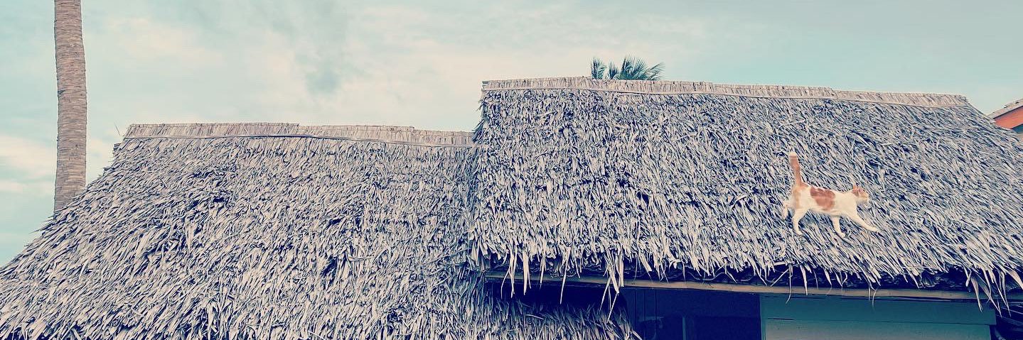 🏖️'s banner