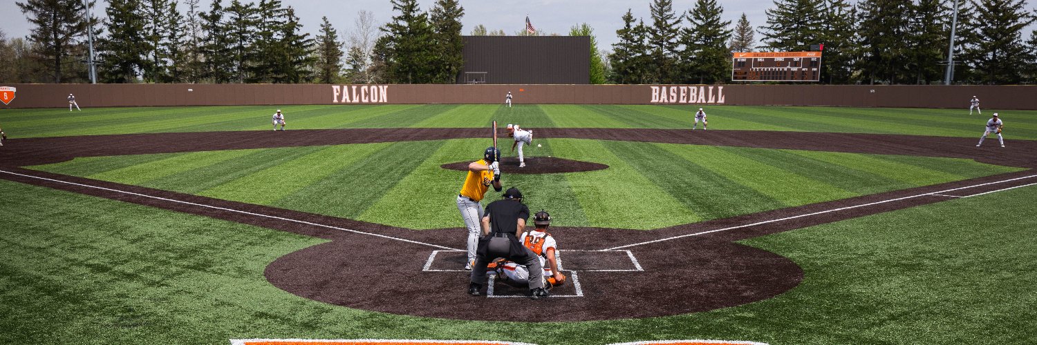 BGSU Baseball's banner