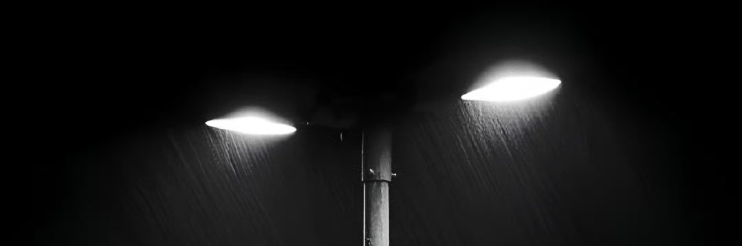 𝓥𝓲𝓬𝓽𝓸𝓻小童's banner