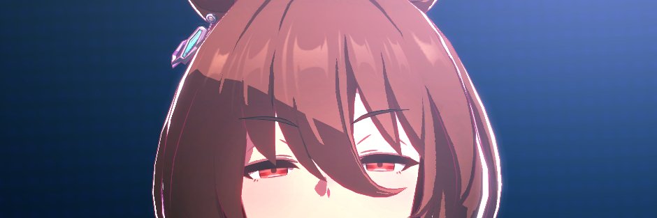 ピカsyu's banner