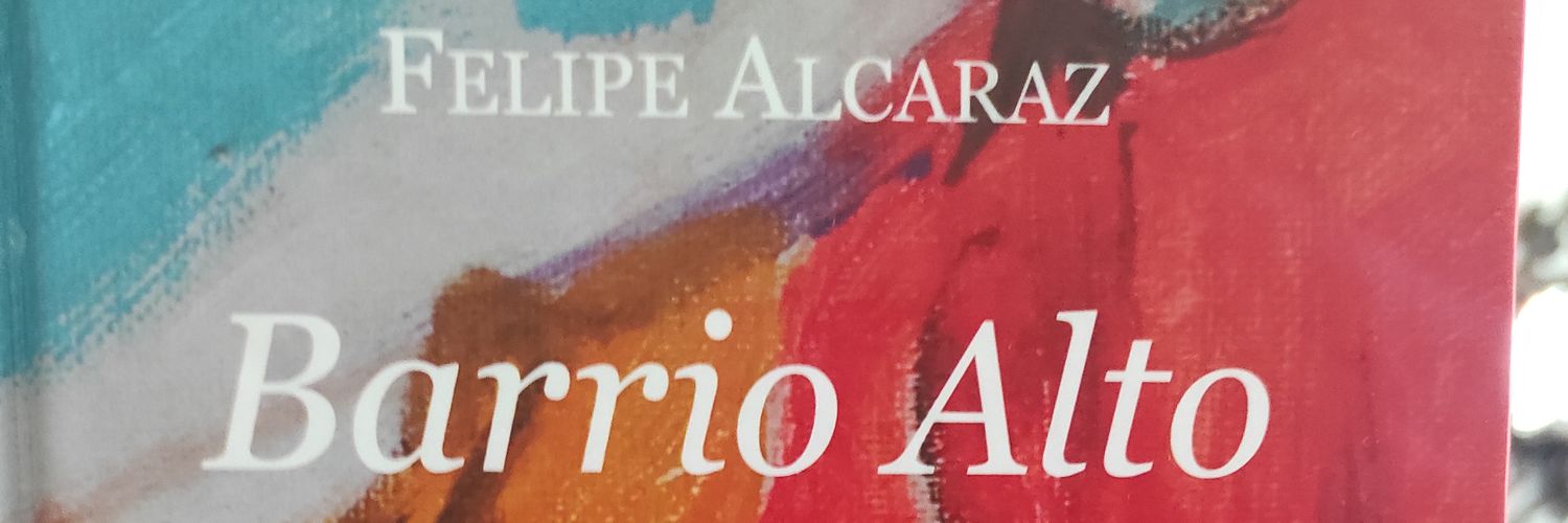 @FelipeAlcarazM's banner