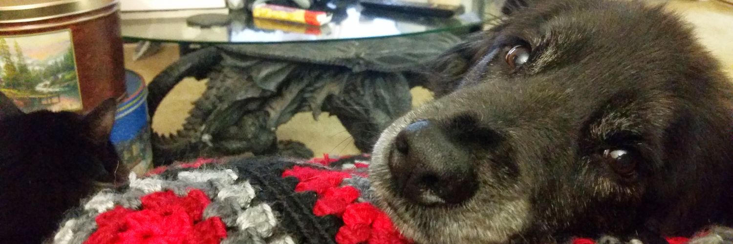 BunnyYojimbo's banner