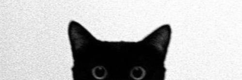 Marina G.'s banner