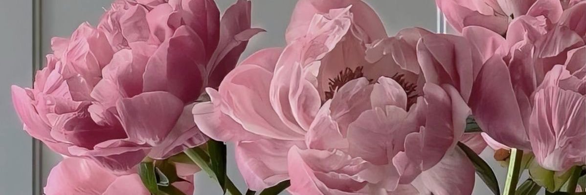 ▫️Saara▫️'s banner