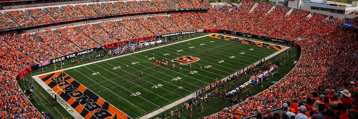 Cincinnati Bengals's banner