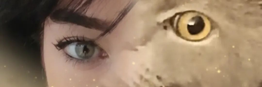 Ö💤lem Ç. 👊🏻's banner