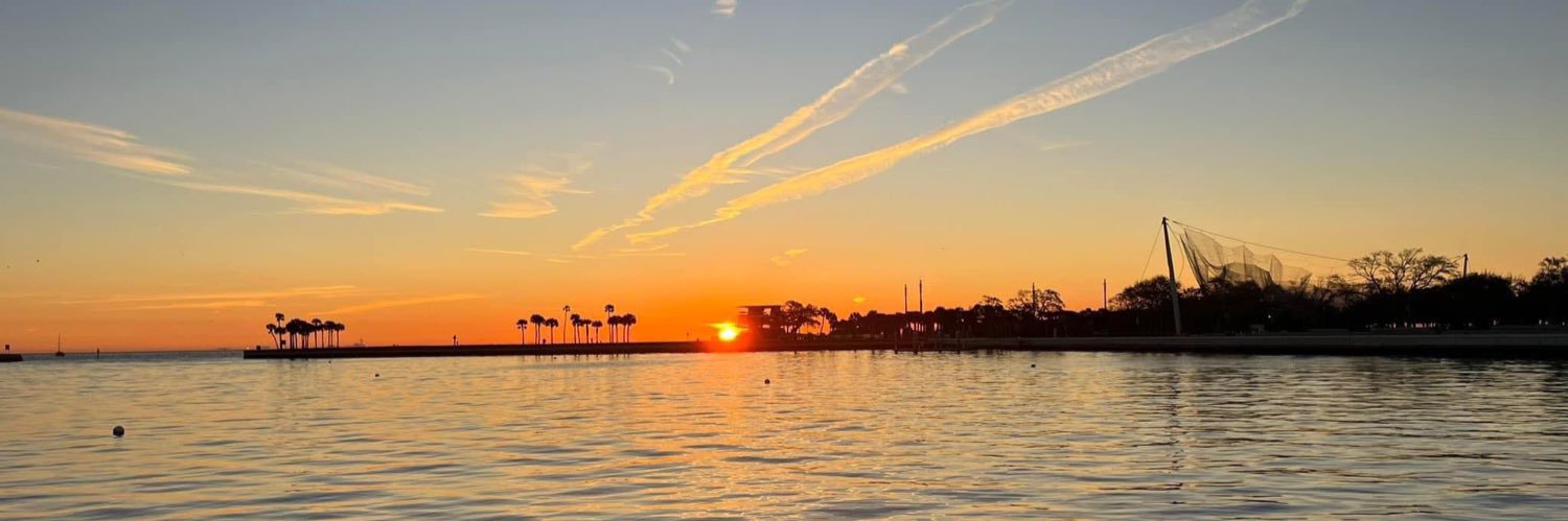 Kailey Tracy Fox 13's banner