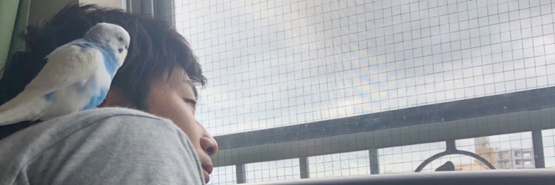 あきも🦜's banner