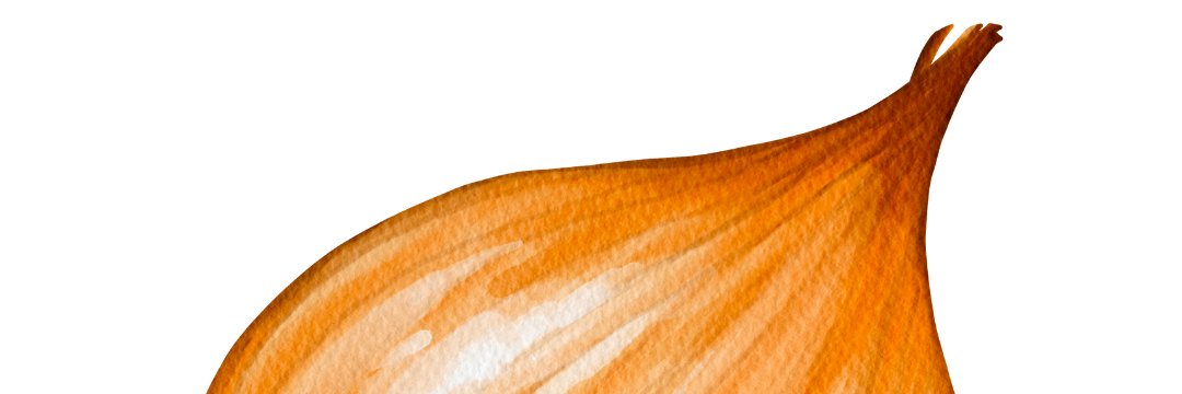 マタネギ's banner
