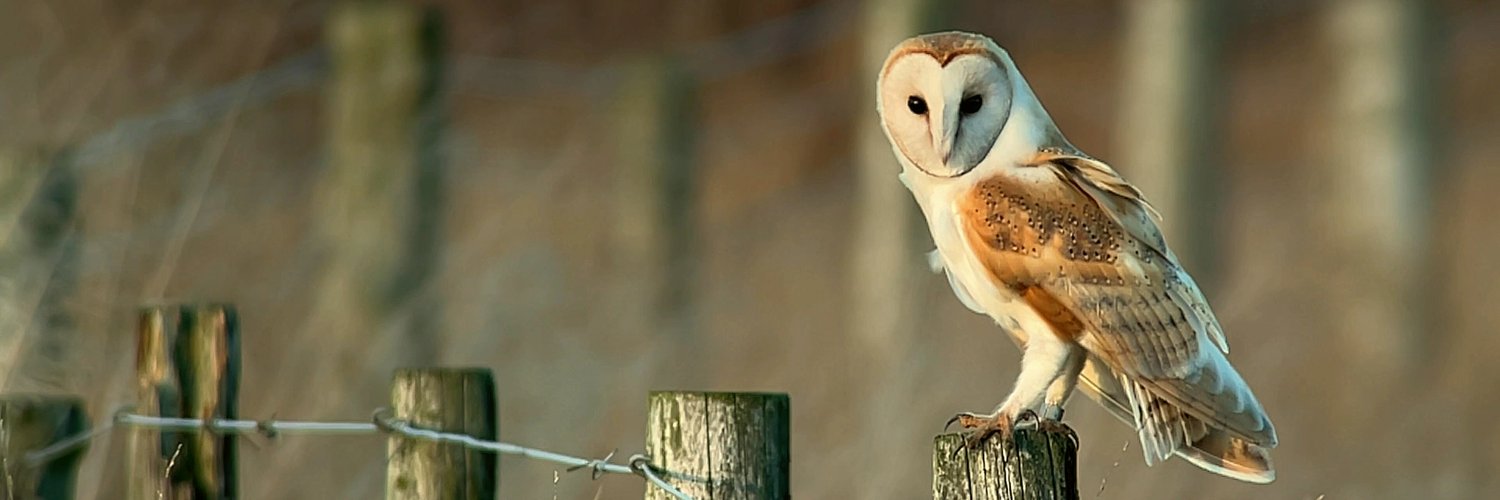 Leeds Birder's banner
